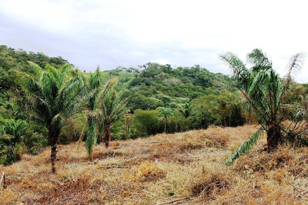 c_campo_sx (1)